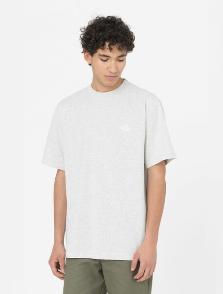 Dickies Summerdale t-shirt