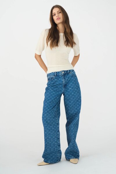 Ivy Augusta jeans Punch Needle